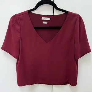 Aritzia | Babaton | Randy Blouse